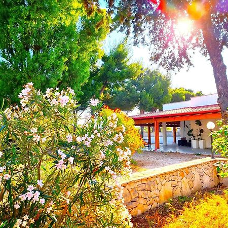 Villa Costanza Μπάρι Εξωτερικό φωτογραφία